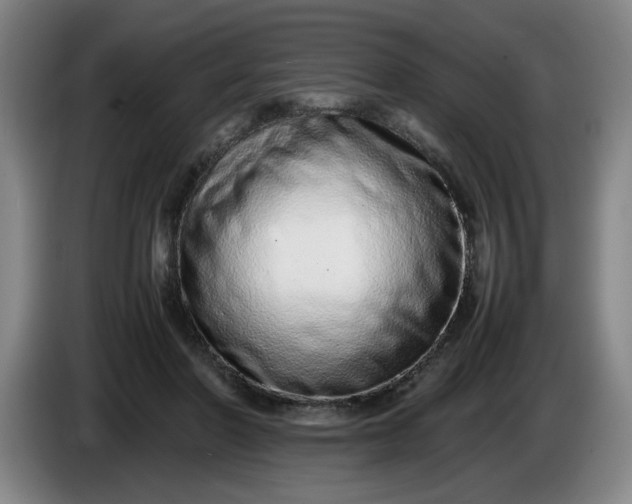 X0000085780406200703301429