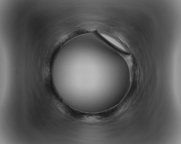 X0000085780407200703301429