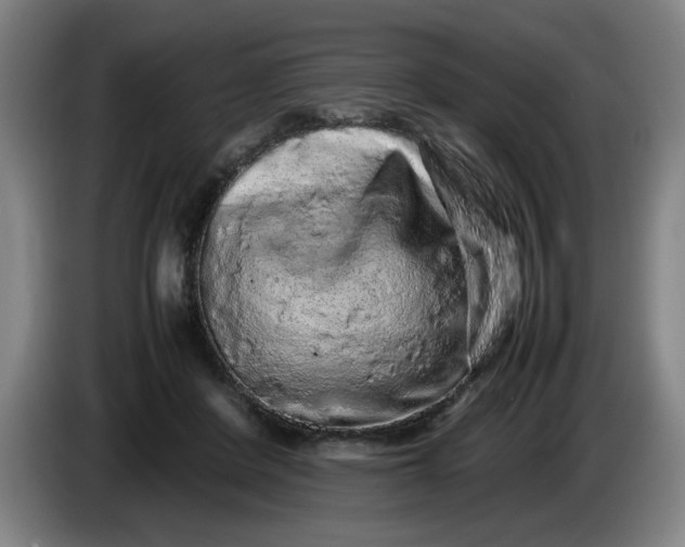 X0000085780408200703301429