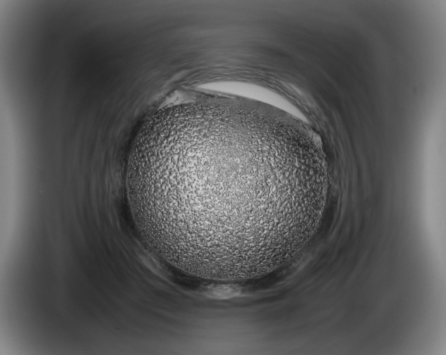 X0000085780409200703301429