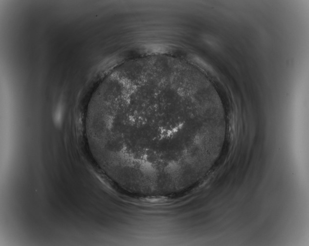 X0000085780410200703301429