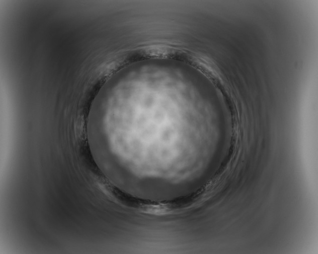 X0000085780411200703301429