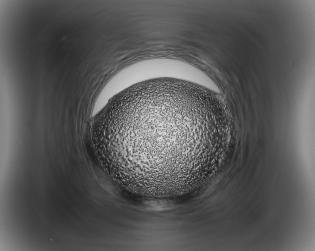 X0000085780417200703301429