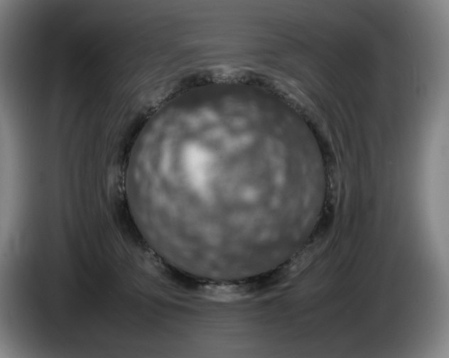 X0000085780419200703301429