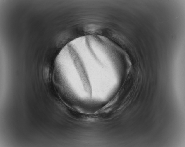 X0000085780420200703301429