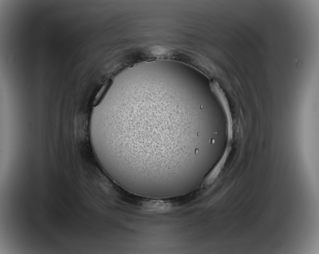 X0000085780421200703301429