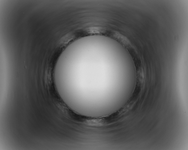 X0000085780422200703301429