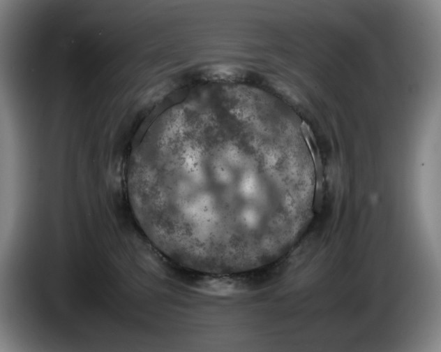 X0000085780423200703301429