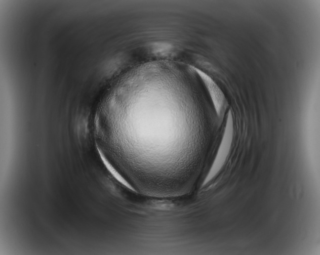 X0000085780424200703301429