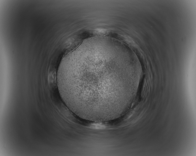 X0000085780425200703301429