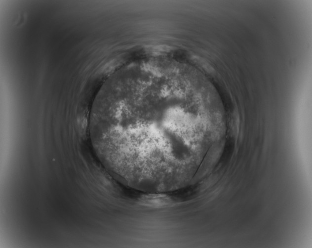 X0000085780427200703301429