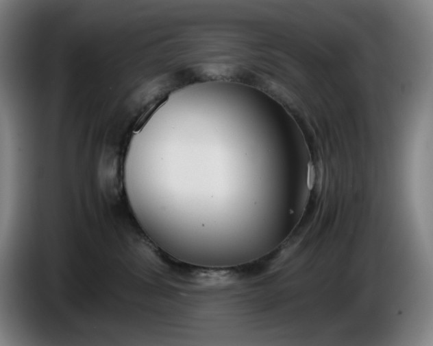 X0000085780428200703301429