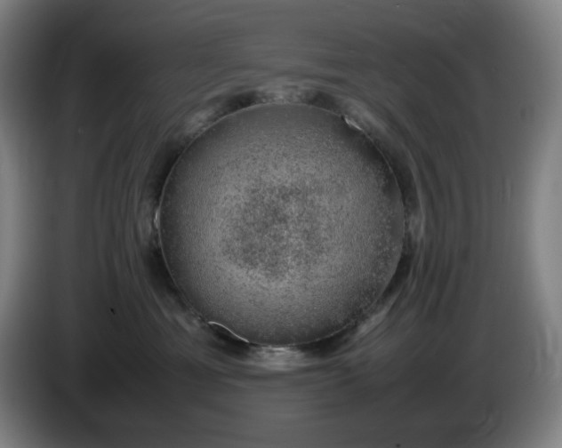 X0000085780429200703301429