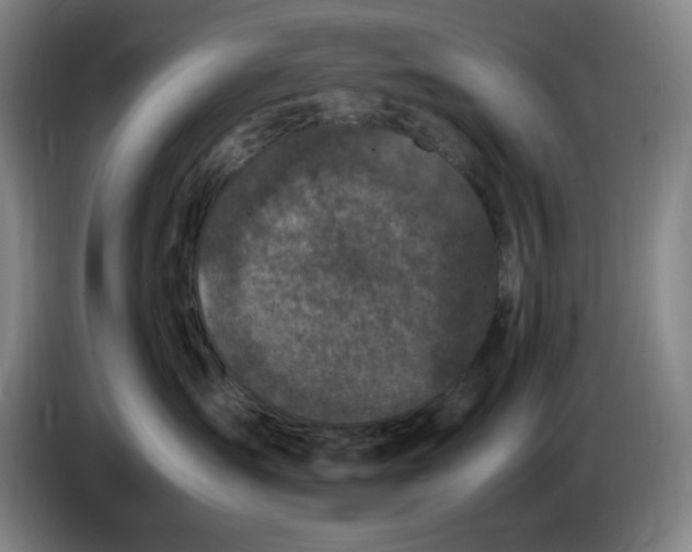 X0000085780431200703301429