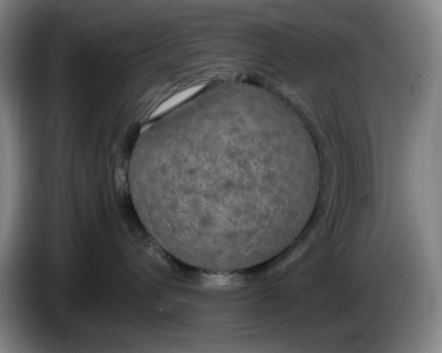 X0000085780432200703301429