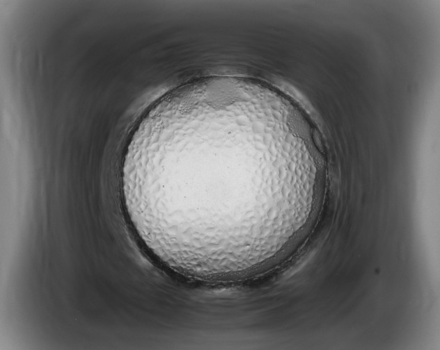 X0000085780433200703301428