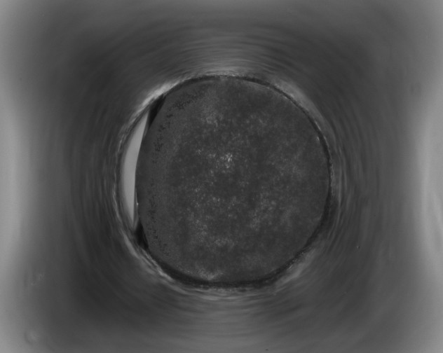 X0000085780434200703301428