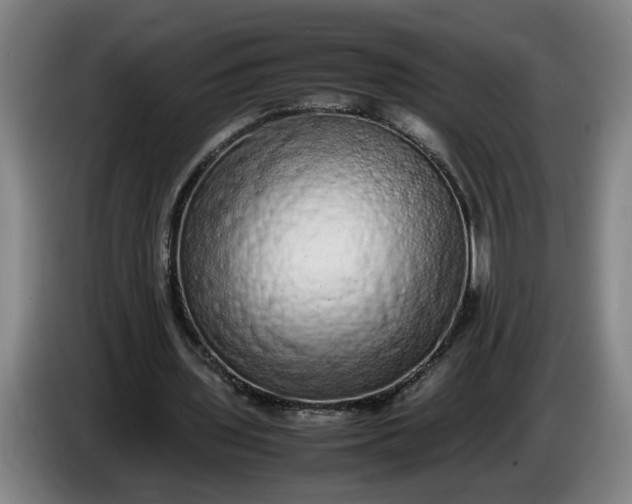 X0000085780435200703301428