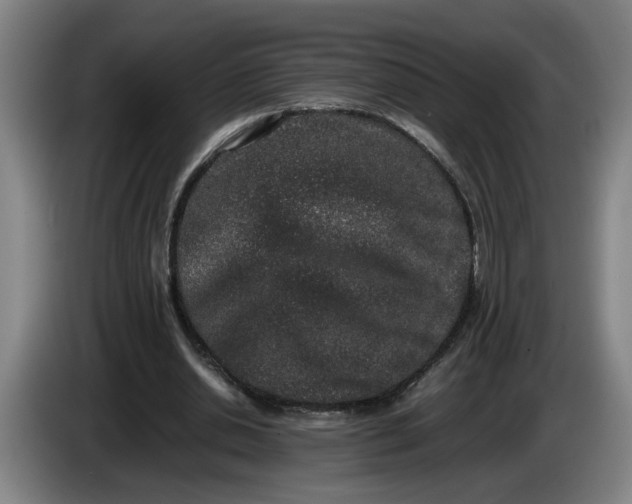 X0000085780438200703301428