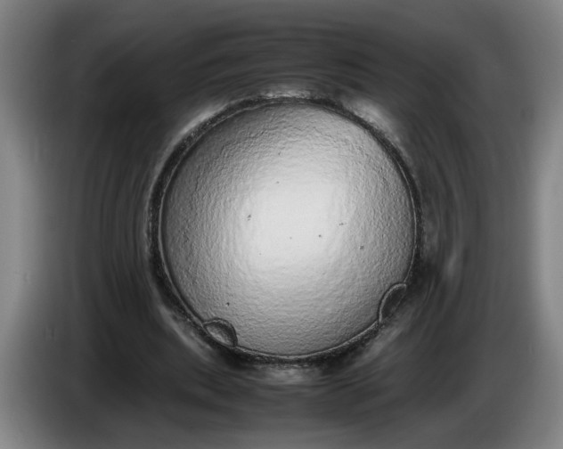 X0000085780439200703301428