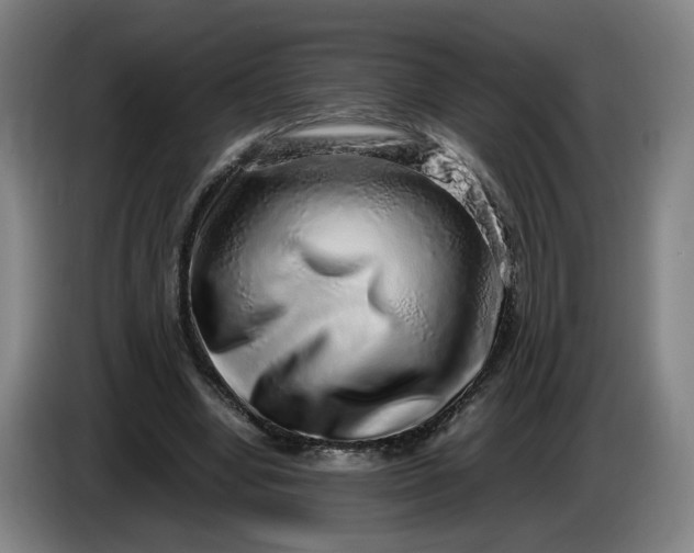 X0000085780442200703301429