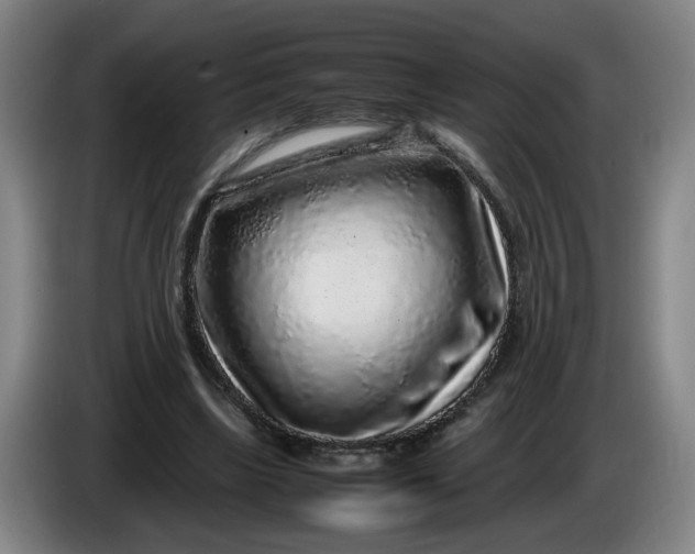 X0000085780443200703301429