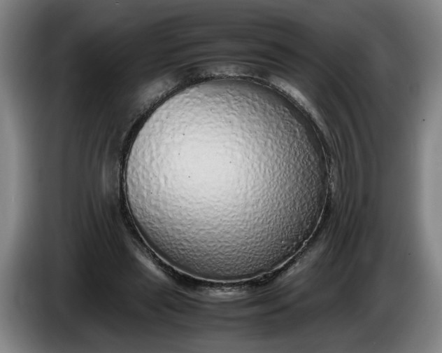 X0000085780445200703301429