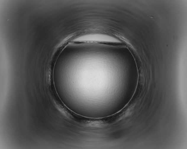 X0000085780446200703301429