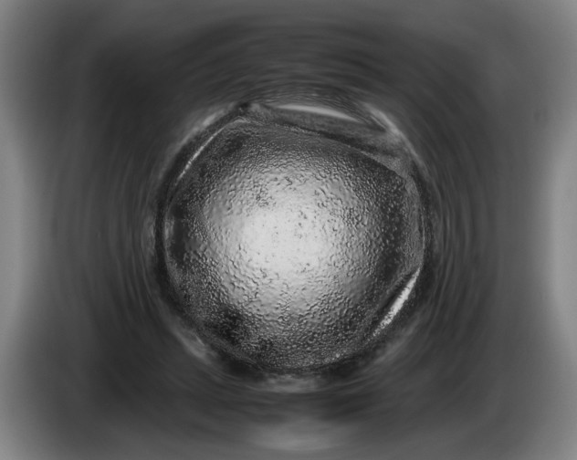 X0000085780447200703301429