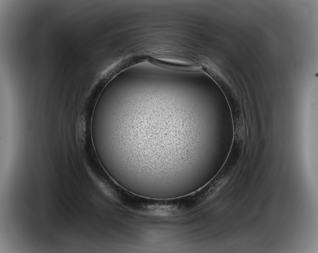 X0000085780448200703301429