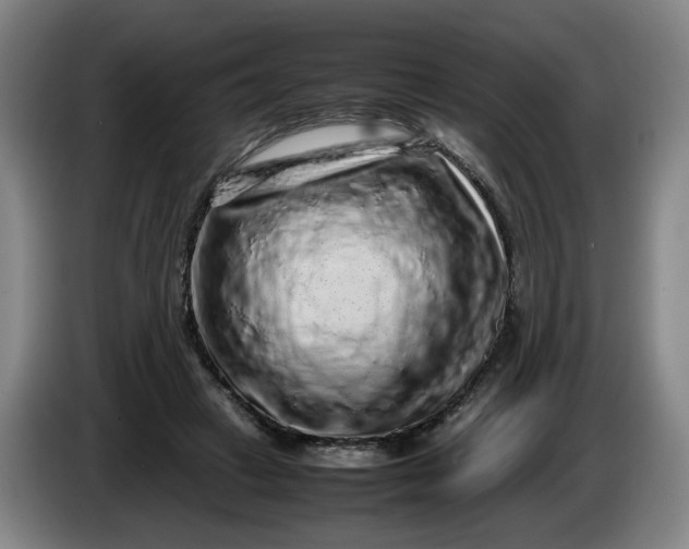 X0000085780449200703301429