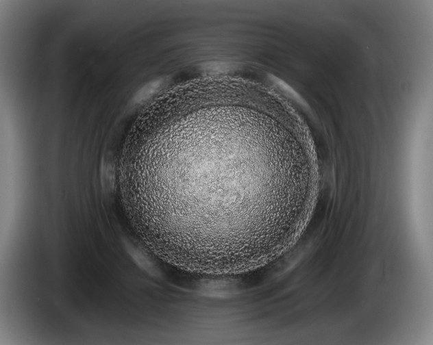 X0000085780452200703301429