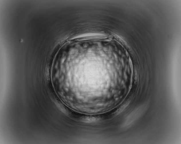 X0000085780453200703301429