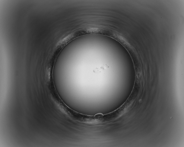 X0000085780454200703301429