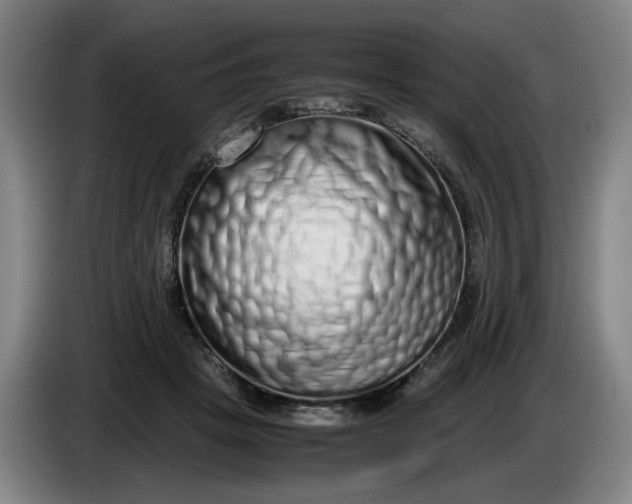 X0000085780457200703301429