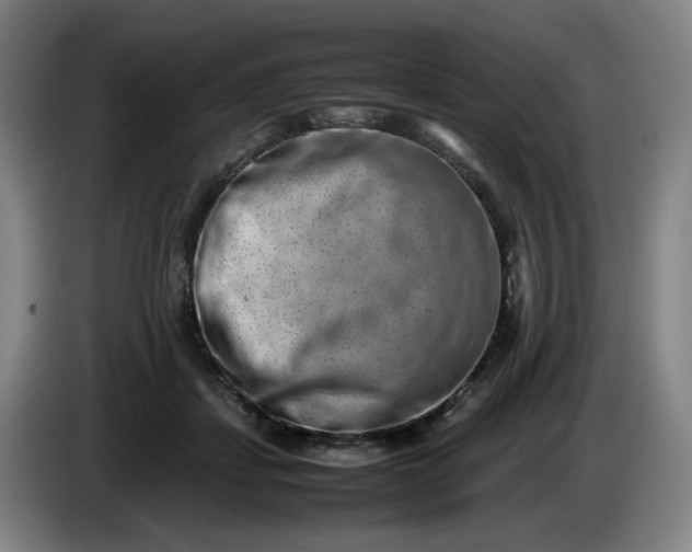 X0000085780459200703301429