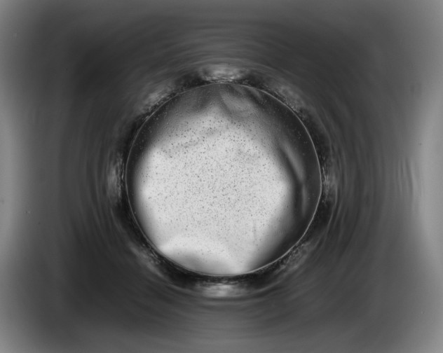 X0000085780460200703301429