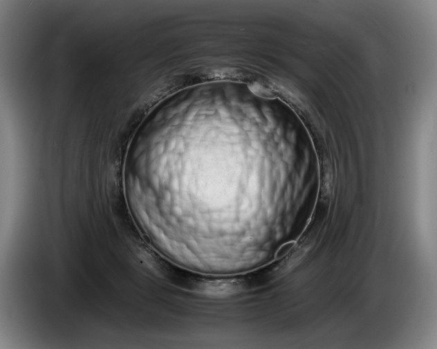 X0000085780461200703301429