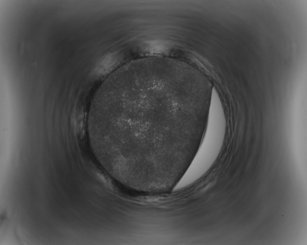 X0000085780462200703301429