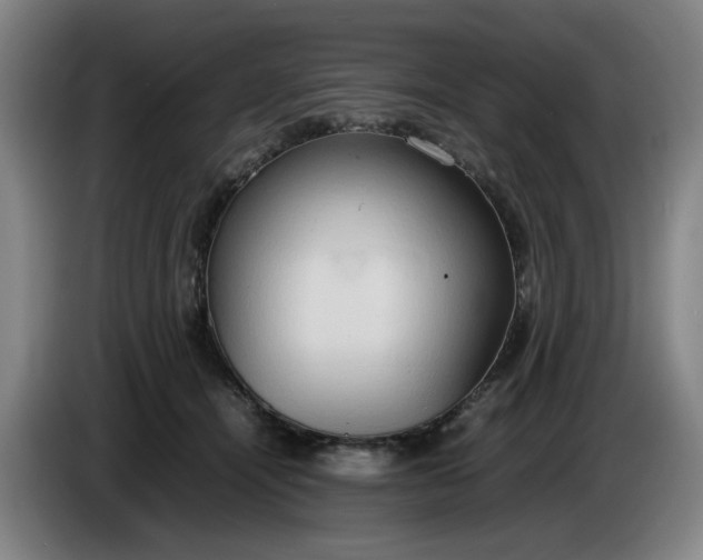 X0000085780464200703301429