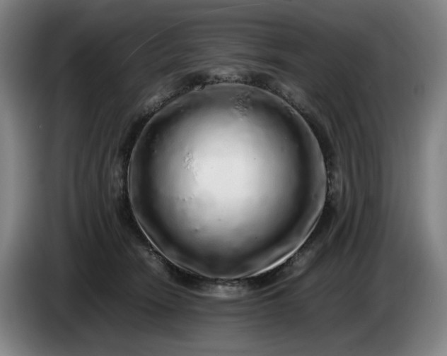 X0000085780466200703301429