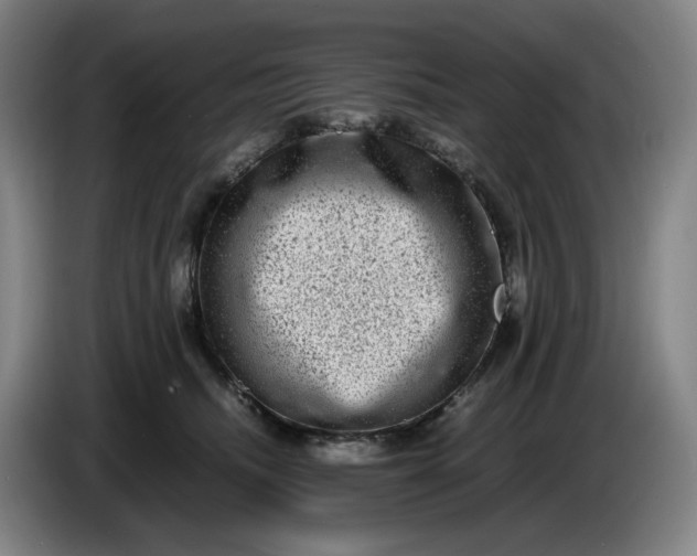 X0000085780468200703301429