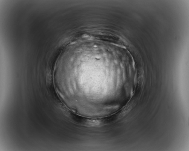 X0000085780469200703301429