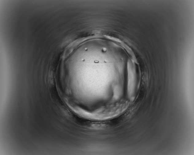 X0000085780470200703301429