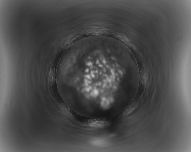 X0000085780471200703301429