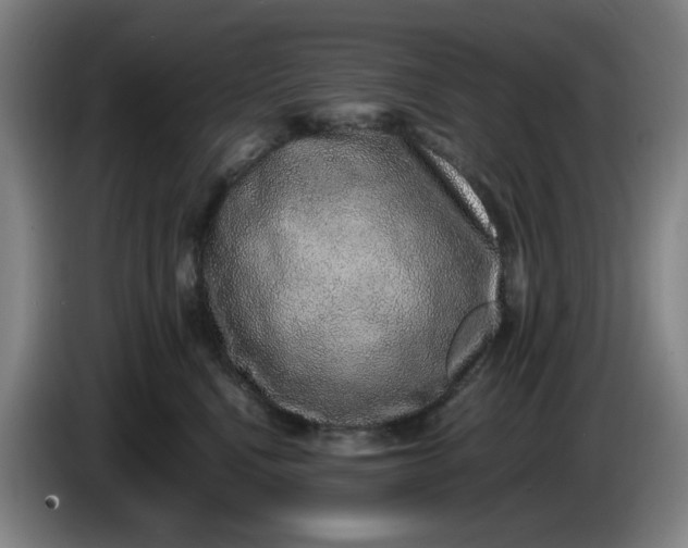 X0000085780472200703301429