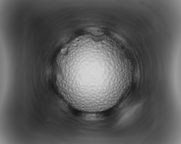 X0000085780473200703301429