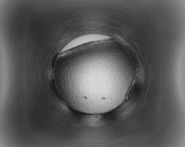 X0000085780474200703301429