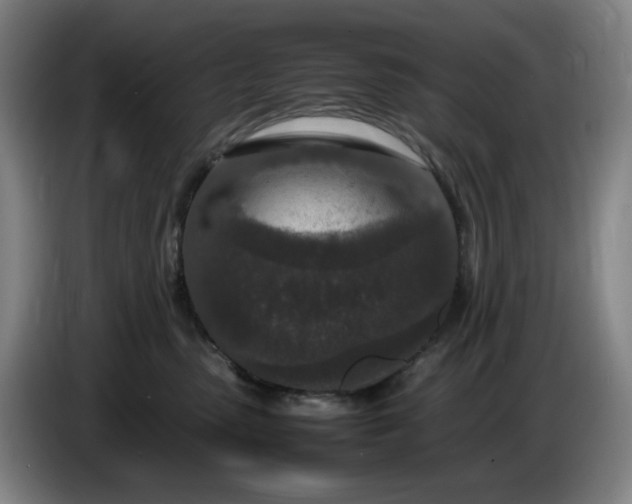 X0000085780475200703301429