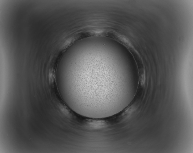 X0000085780476200703301429